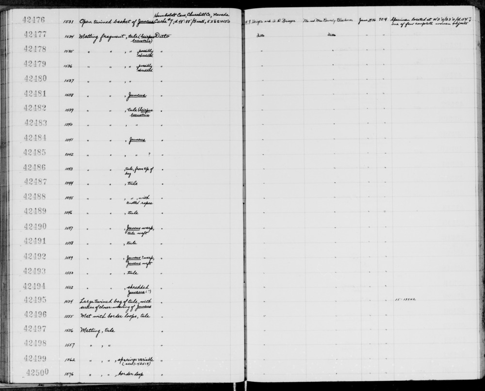 Documentation associated with Hearst Museum object titled Bag, accession number 1-42495, described as Large twined bag of tule, with section of closer weaving of Juncus.