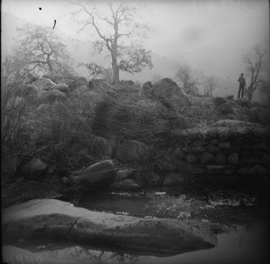 Hearst Museum object titled Black-and-white negative, accession number 15-2494, described as Pigeon snare ambush