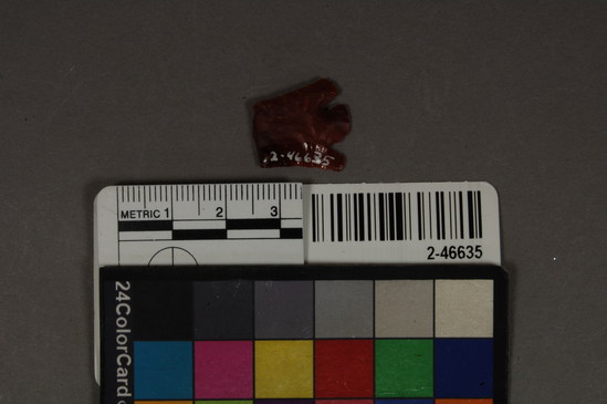 Hearst Museum object titled Projectile point, accession number 2-46635, described as No description given on catalog card.