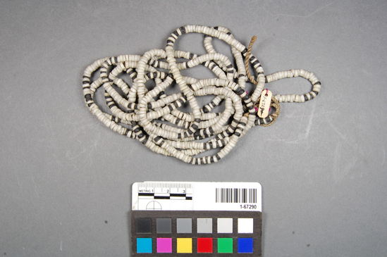 Hearst Museum object titled Necklace, accession number 1-67290, described as Necklace of white Olivella beads interspersed with black seeds?