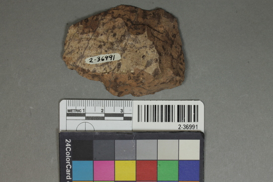 Hearst Museum object titled Flake, accession number 2-36991, described as Plano-covex scraper; pink rhyolite