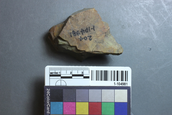 Hearst Museum object titled Point, accession number 1-104981, described as Pointed chert core tool.