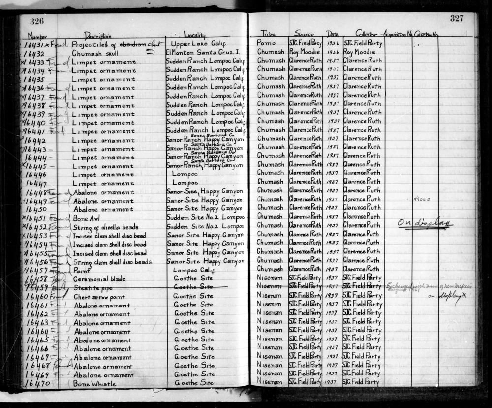 Documentation associated with Hearst Museum object titled Strung beads, accession number L-16452, described as String of olivella beads.