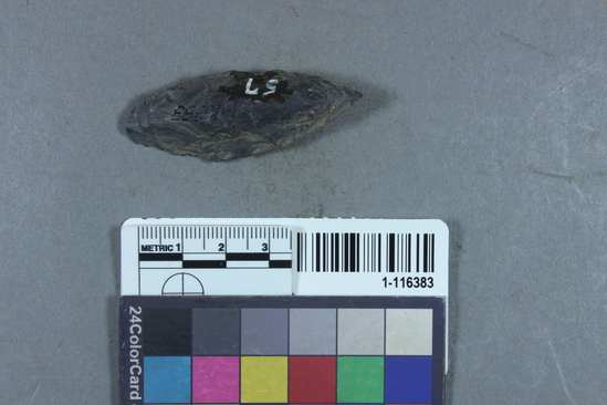 Hearst Museum object titled Point, accession number 1-116383, described as Obsidian, projectile