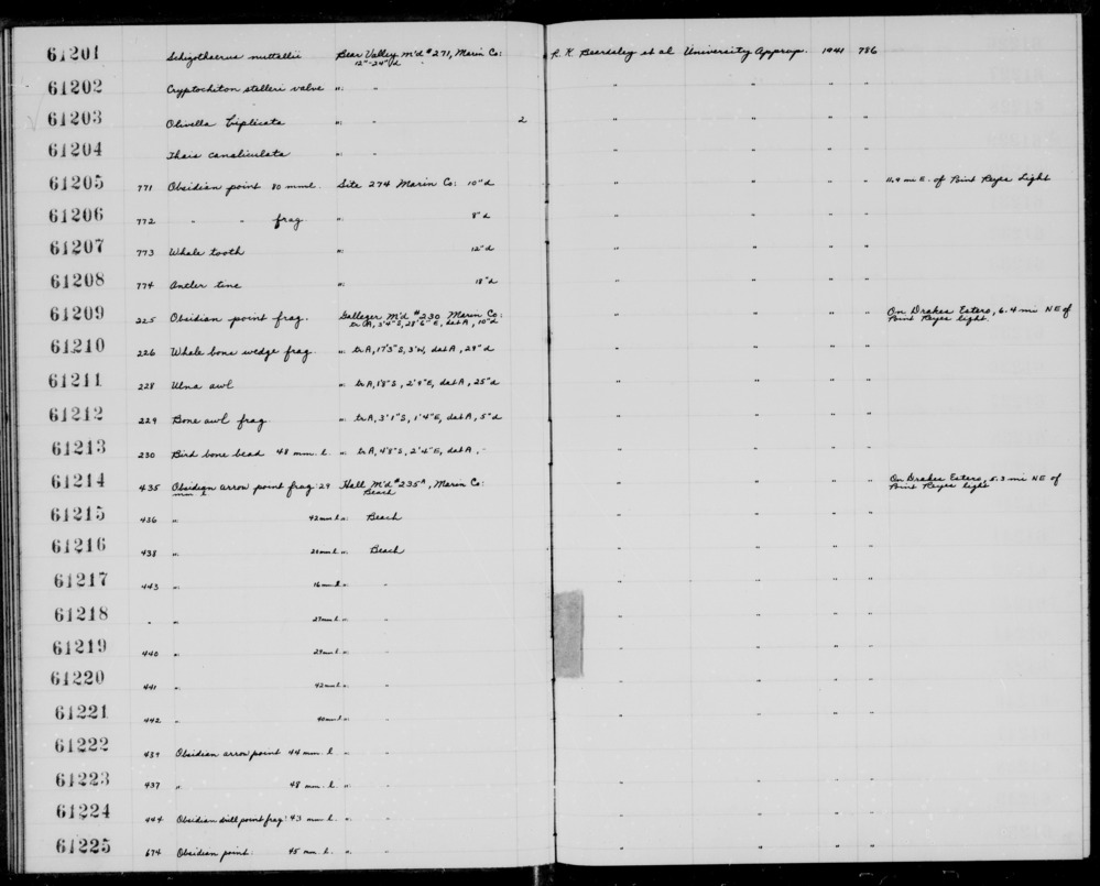 Documentation associated with Hearst Museum object titled Point, accession number 1-61225, described as Obsidian. Notice: Image restricted due to its potentially sensitive nature. Contact Museum to request access.