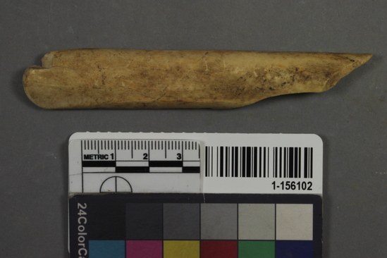 Hearst Museum object 2 of 2 titled Bone tool fragment, accession number 1-156102, described as Unmodified, mammal.