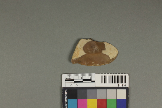 Hearst Museum object titled Flake, accession number 9-1616, described as Acheuleo-Mousterian flint