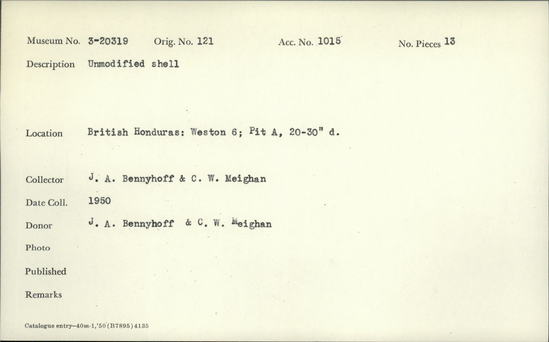 Documentation associated with Hearst Museum object titled Shell, accession number 3-20319, described as Unmodified shell