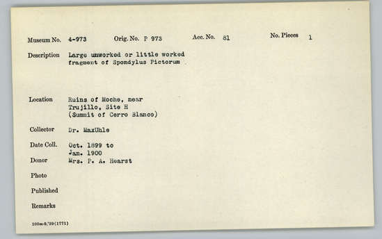 Documentation associated with Hearst Museum object titled Shell fragment, accession number 4-973, described as Large unworked or little worked fragment of Spondylus pictorum.