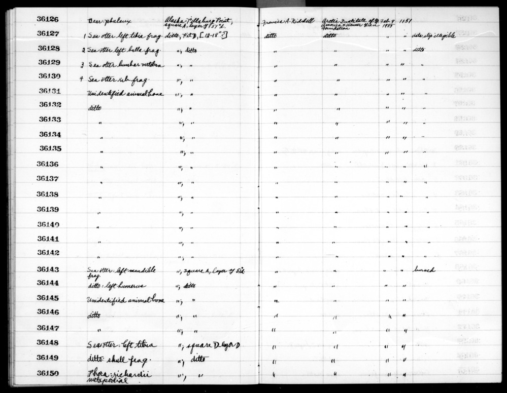 Documentation associated with Hearst Museum object titled Faunal remains, accession number 2-36134, described as Unidentified animal bone. Metapodial.