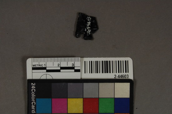 Hearst Museum object titled Projectile point, accession number 2-44603, described as No description given on catalog card.