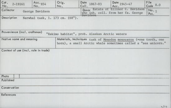 Documentation associated with Hearst Museum object titled Tusk (of narwhal), accession number 2-19161, described as Narwhal. Tusk of Monodon monoceros.