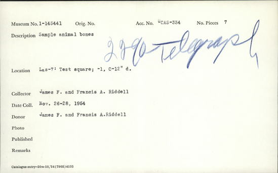 Documentation associated with Hearst Museum object titled Faunal remains, accession number 1-145441, described as Sample of animal bones.