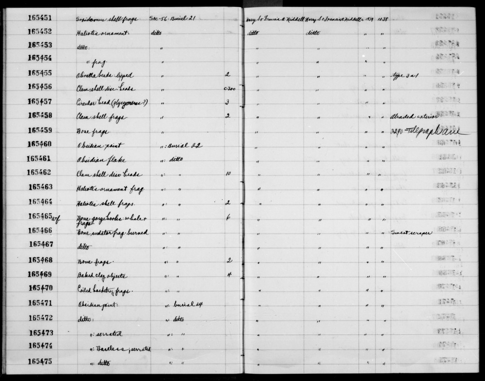 Documentation associated with Hearst Museum object titled Shell fragments, accession number 1-165451, described as Saxidomus.