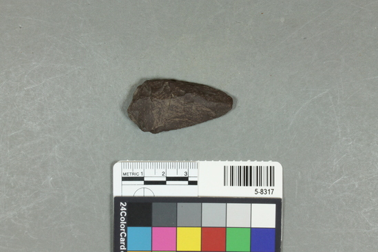 Hearst Museum object titled Flake, accession number 5-8317, described as Flake; sub-triangular; step flaking on edges; length 4.8 cm