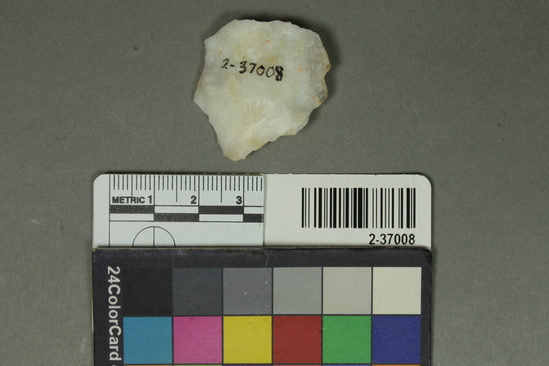 Hearst Museum object titled Flake, accession number 2-37008, described as Small flake scraper; white flint