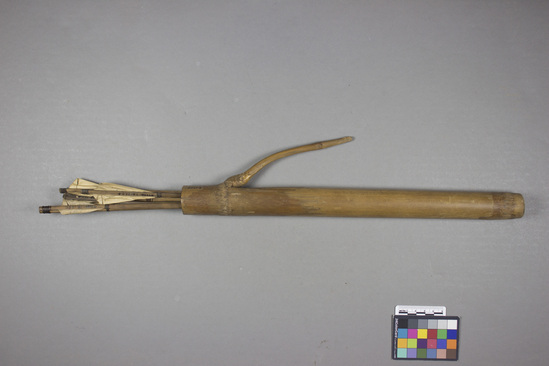 Hearst Museum object titled Arrow case, accession number 18-124a-g, described as Arrow, with “feathering” of fibrous leaf, barbed steel point, and unnotched butt.