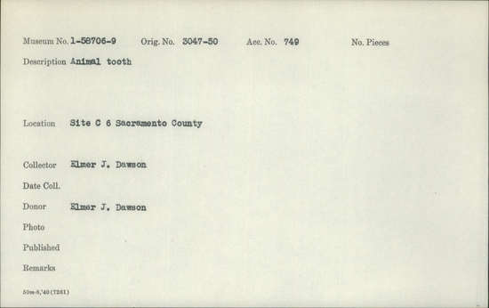 Documentation associated with Hearst Museum object titled Tooth, accession number 1-58709, described as Animal