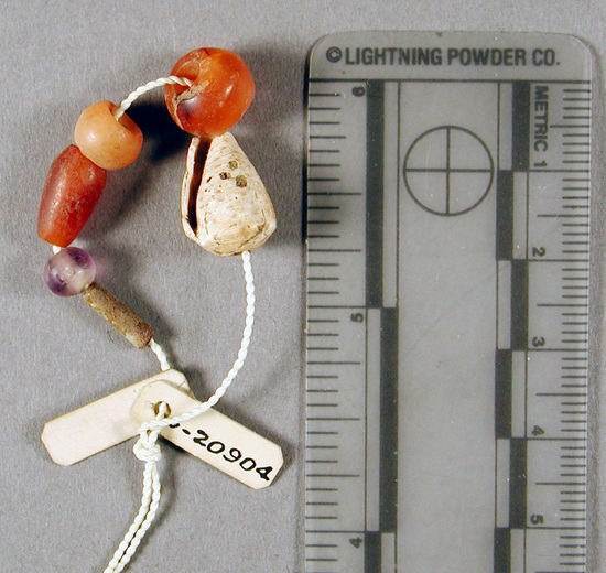 Hearst Museum object titled Mixed beads, accession number 6-20904, described as carnelian and shell beads. Late Middle Empire