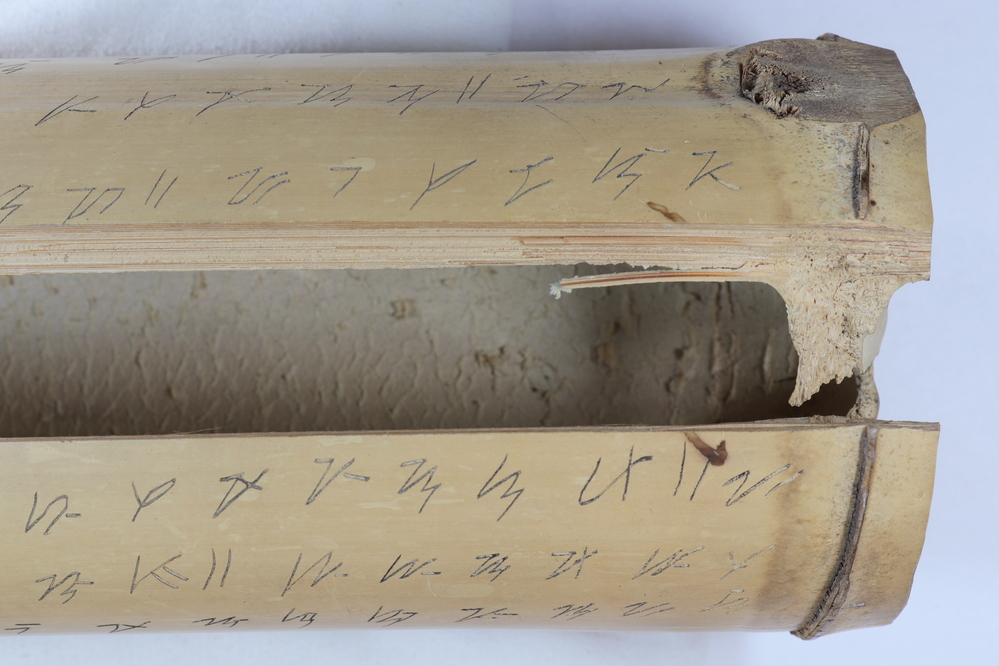 Hearst Museum object 19 of 24 titled Carved bamboo, accession number 10-1508, described as Bamboo inscription, containing part of a long urukay chant; large single internode; 15” long, 4” wide; Hanunoo syllabic writing. Not translated.