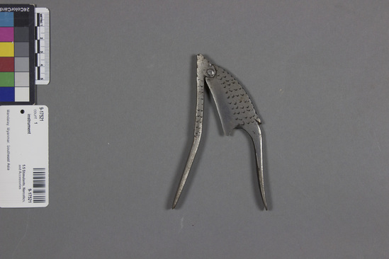 Hearst Museum object titled Betel scissors, accession number 9-17521, described as Chopper for betel nuts. Worked and decorated to resemble head of a bird. Etching done to look like feathers, screw placed as the eye.