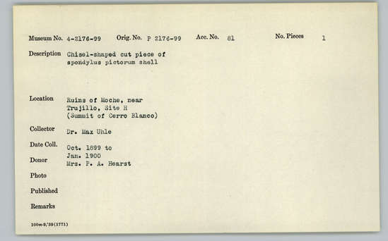 Documentation associated with Hearst Museum object titled Worked shell, accession number 4-2187, described as Chisel-shaped cut piece of Spondylus pictorum shell.