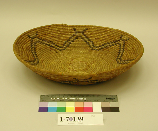 Hearst Museum object titled Bowl basket, accession number 1-70139, described as Coiled, plate shape.  Tag "Mission Type". Per Ralph Shanks:  Coiled low broad bowl basket with sloping sides.  It is in the traditional shape of a winnower but does not appear used.  Deergrass bundle foundation.  The basket has a start of sumac wefts, two inches in diameter.  The rest of the basket has tan, orange, and black-dyed juncus as well as some sumac in the center of the design.  The design is a zigzag outlined in black with a triangle at the top of each vertical. The workface is on the interior, with a rightward work direction.  The basket has primarly clipped as well as some bound under weft fag ends.  The rim is plain wrapped with a double coil ending, each with tapered herringbone stitching.  The additional coil ending is probably formed by adding a coil after the the first coil ending, where the tag is currently located . This was done probably to continue to maintain two plain coils above the main design.  The basket is probably Cahuilla,  based on the use of the clipped fag ends and the design layout.  There is a hair woven into the basket.