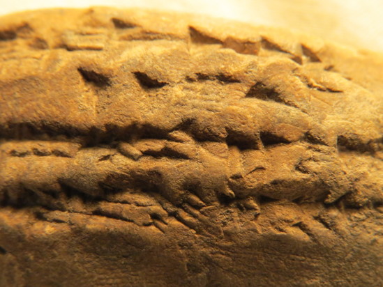 Hearst Museum object 111 of 122 titled Cuneiform tablet, accession number 9-3048, described as Mesopotamian cuneiform tablet