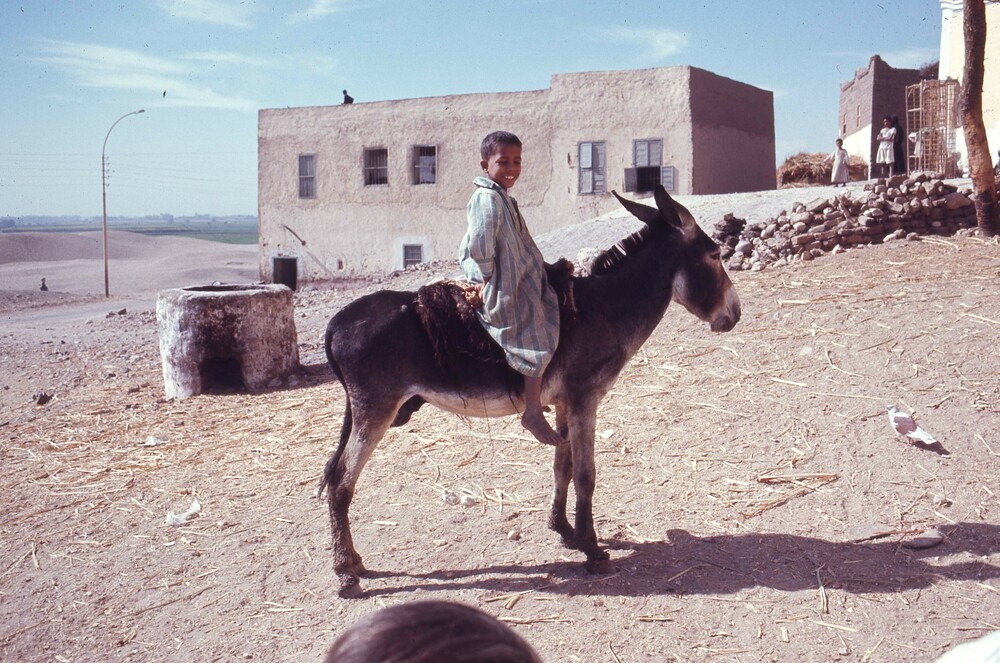 Hearst Museum object titled Color slide, accession number 25-29362, described as 35mm color slide transparency. A boy visiting the alabaster workshop on a donkey.