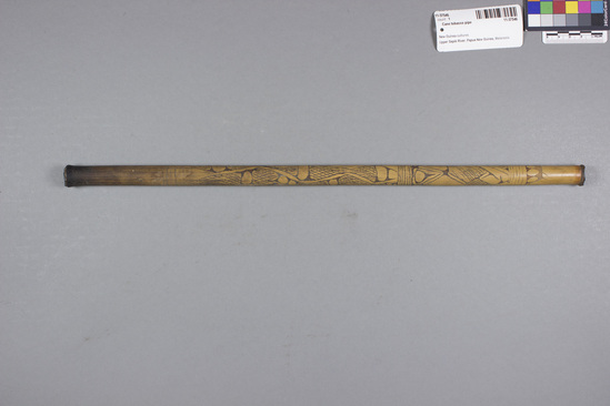 Hearst Museum object 1 of 2 titled Cane tobacco pipe, accession number 11-37546, described as Tobacco pipe, cane, with incised designs filled with black pigment, 45.1 cm long. Used for smoking.