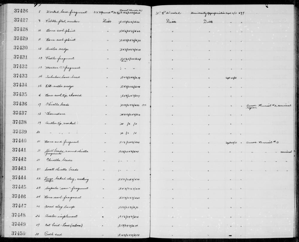 Documentation associated with Hearst Museum object titled Awl fragment, accession number 1-37428, described as Bone, point.