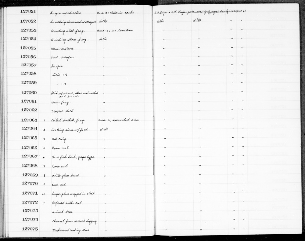 Documentation associated with Hearst Museum object titled Acorn, accession number 1-127074c, described as Acorn.