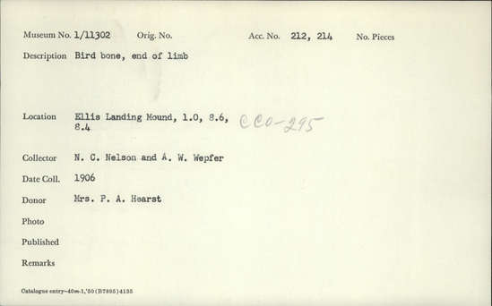 Documentation associated with Hearst Museum object titled Faunal remains, accession number 1-11302, described as Bird. End of limb.