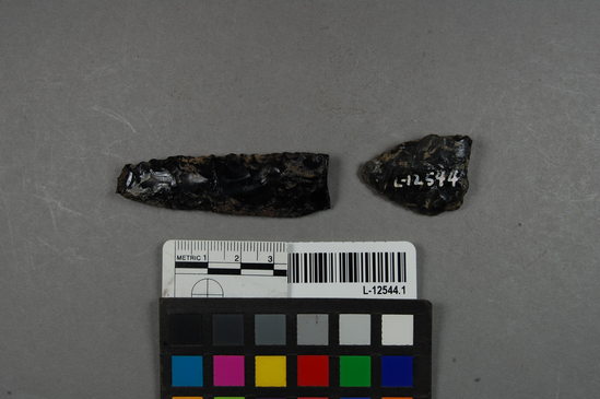 Hearst Museum object titled Knife and point, accession number L-12544.1, described as Obsidian knife and point fragments.