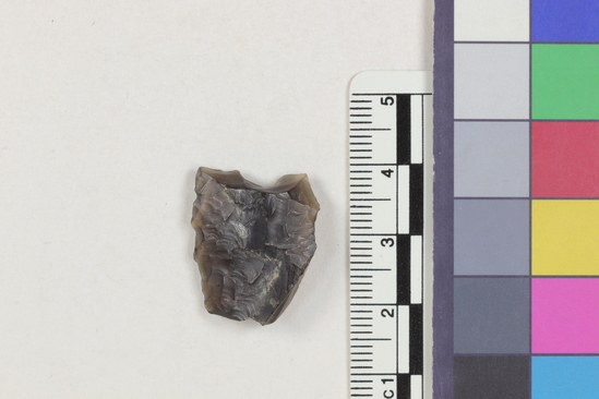 Hearst Museum object 1 of 2 titled Flake fragment, accession number 16-14378, described as Projectile point fragment; obsidian; triangular; weight: 3.0 grams; length: 2.25 cm; width: 1.85 cm; depth: 0.6 cm.