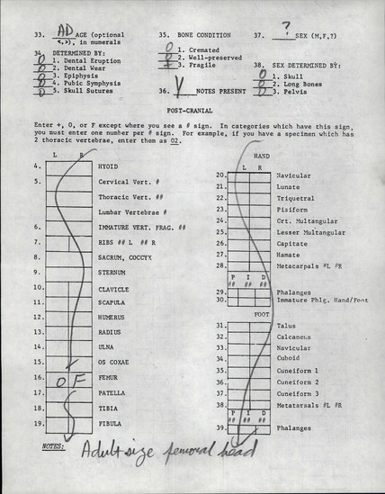 Documentation associated with Hearst Museum object titled Human remains, accession number 12-8747A, described as Remains of one adult, sex unknown.