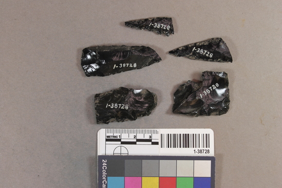 Hearst Museum object titled Projectile points, accession number 1-38728, described as Obsidian.