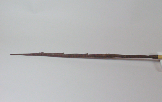 Hearst Museum object 1 of 2 titled Arrow, accession number 16-501, described as Arrow, barbed hardwood point, cane shaft, feathers in poor condition