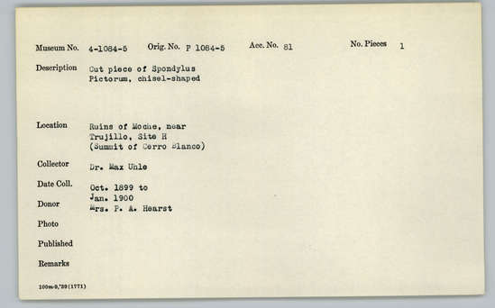 Documentation associated with Hearst Museum object titled Worked shell, accession number 4-1084, described as Cut piece of Spondylus pictorum, chisel-shaped.