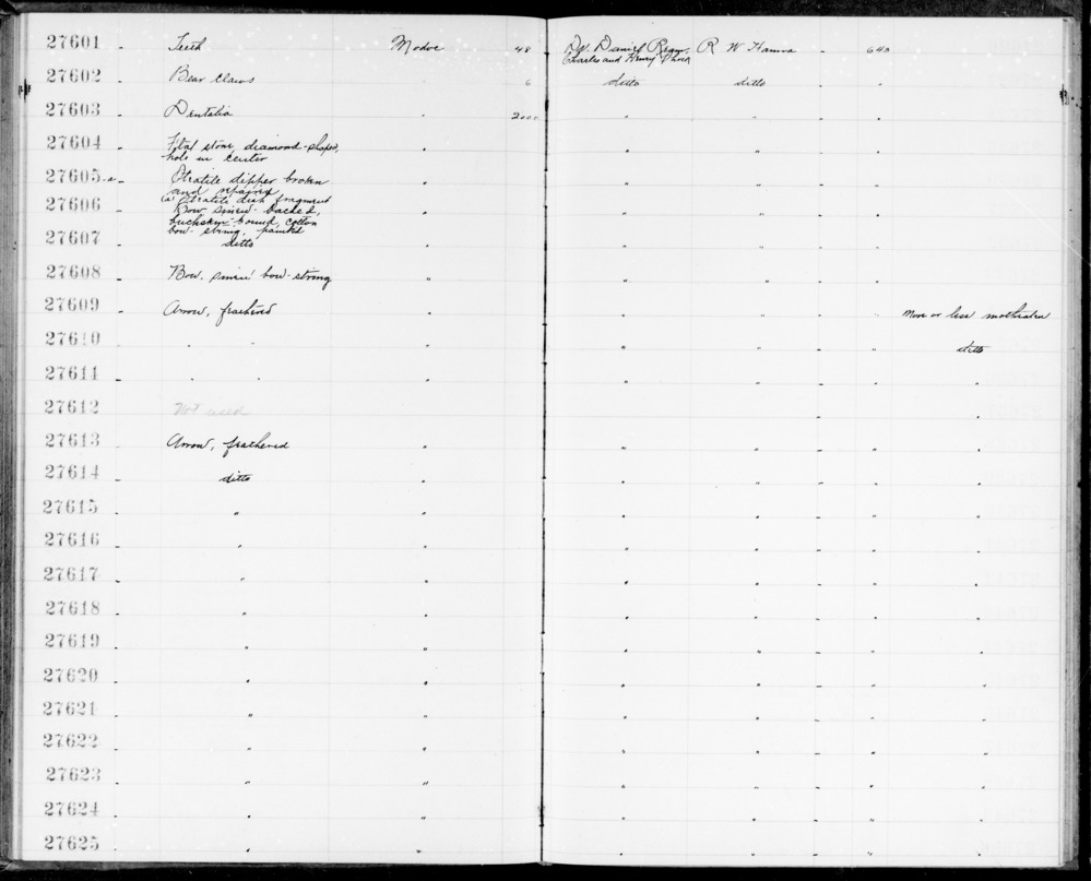 Documentation associated with Hearst Museum object titled Arrow, accession number 1-27610, described as Feathered. More or less moth-eaten.