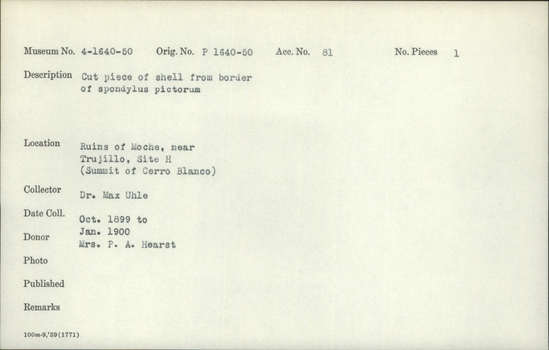 Documentation associated with Hearst Museum object titled Cut shell piece, accession number 4-1645, described as Cut piece of shell from border of Spondylus pictorum.