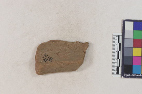 Hearst Museum object 141 of 160 titled Potsherd, accession number 16-8191, described as Potsherd: rims Section of Manta on beach currently inhabited. Numbers  8111 to 8194 are sherds picked up on beach at low tide.