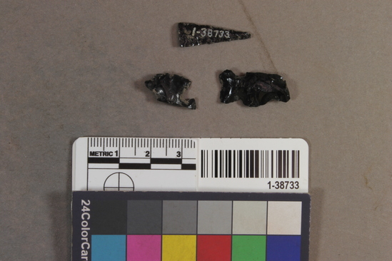 Hearst Museum object titled Projectile points, accession number 1-38733, described as Obsidian.