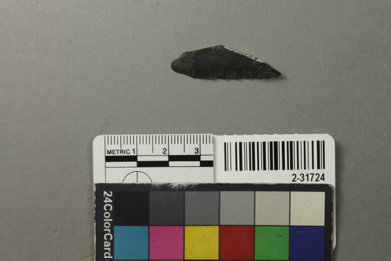 Hearst Museum object titled Point fragment, accession number 2-31724, described as Basalt?