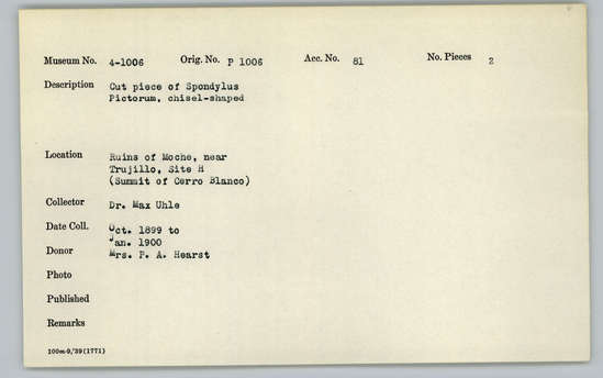 Documentation associated with Hearst Museum object titled Worked shell, accession number 4-1006, described as Cut piece of Spondylus pictorum, chisel-shaped.