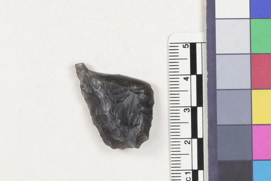 Hearst Museum object 2 of 2 titled Flake fragment, accession number 16-14372, described as Projectile point fragment; obsidian; triangular; weight: 4.93 grams; length: 3.22 cm; width: 2.2 cm; depth: 0.8 cm.