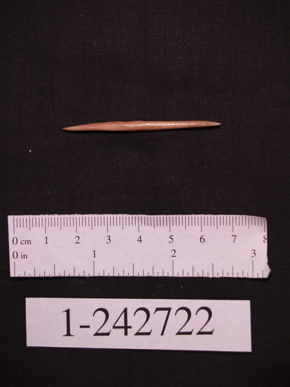 Hearst Museum object titled Implement, accession number 1-242722, described as Bi-pointed bone, worked and polished.