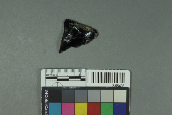 Hearst Museum object titled Biface, accession number 2-55493, no description available.