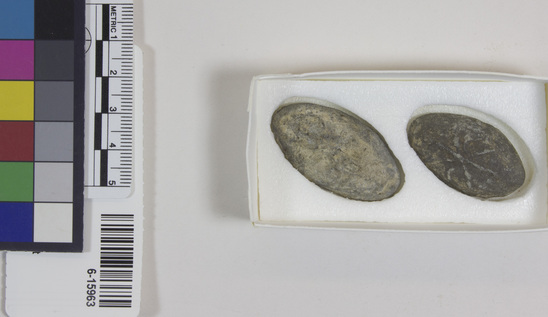 Hearst Museum object 1 of 2 titled Sinkers, accession number 6-15963, described as Lead sinkers.