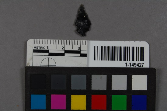 Hearst Museum object titled Point fragment, accession number 1-149427, described as Obsidian projectile, base or corner notched, stem missing